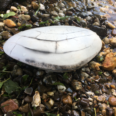 Clam Raku Ceramics