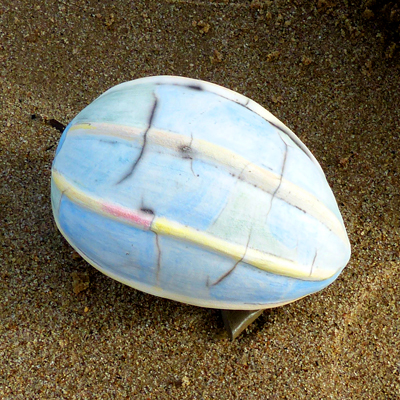 Jellyfish Raku Ceramics